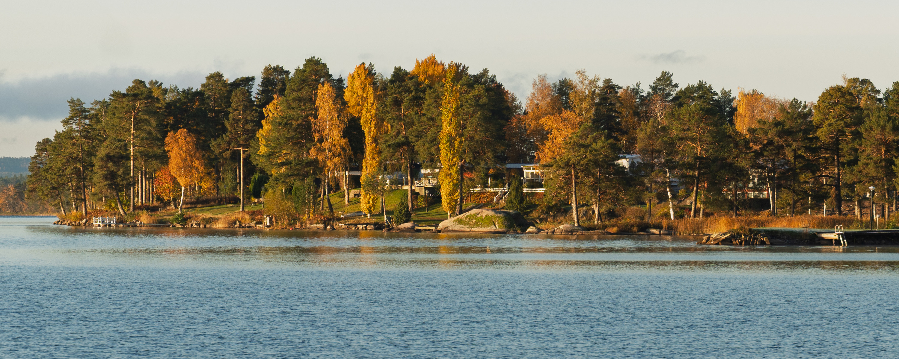 Bottensjön med träd och hus i bakgrunden.