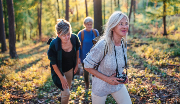En grupp människor som går genom en skog.