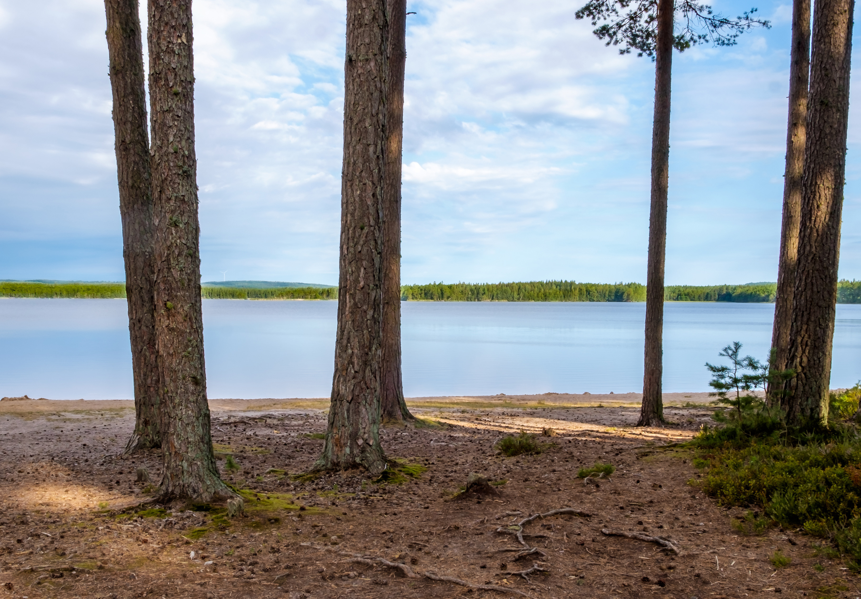 Svartfjällsviken med utsikt över Bottensjön