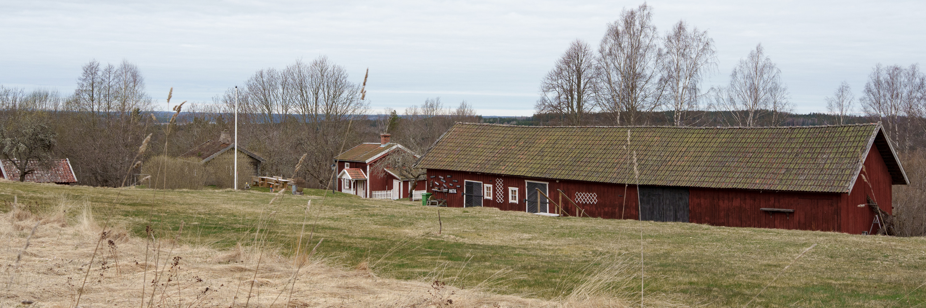 Gräsbevuxet fält  och röd lada med träd i bakgrunden.