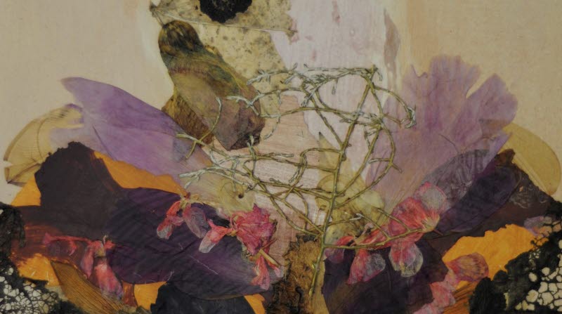 Collage med växter av konstnären Lina Ewinnerlig