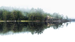 Spegelblank sjö, skog och dis